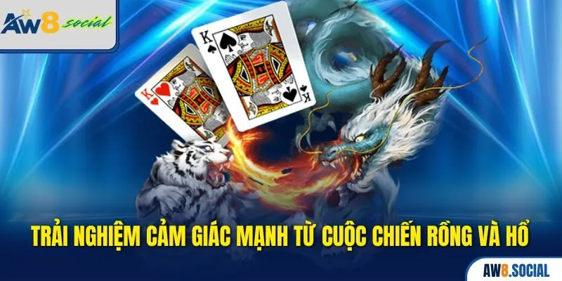 Trải nghiệm cảm giác mạnh từ cuộc chiến Rồng và Hổ